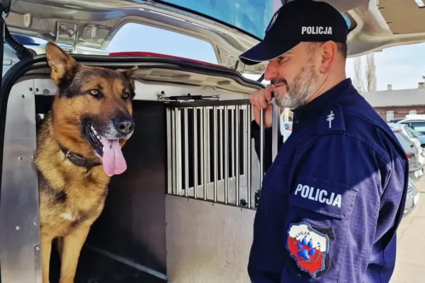 Upały zagrażają zwierzętom – apel o rozwagę i odpowiedzialność