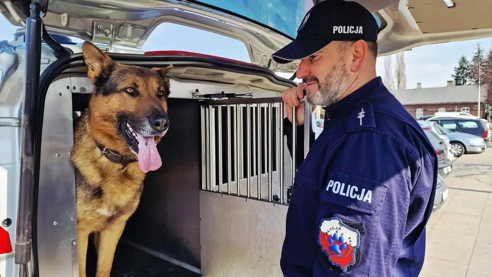 Upały zagrażają zwierzętom – apel o rozwagę i odpowiedzialność
