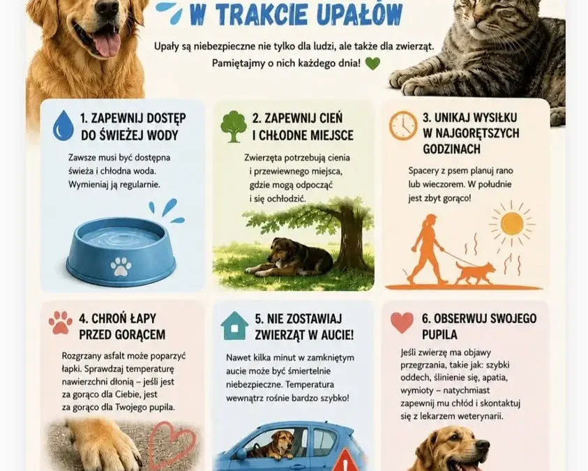 Upały nadchodzą – zadbajmy o bezpieczeństwo zwierząt
