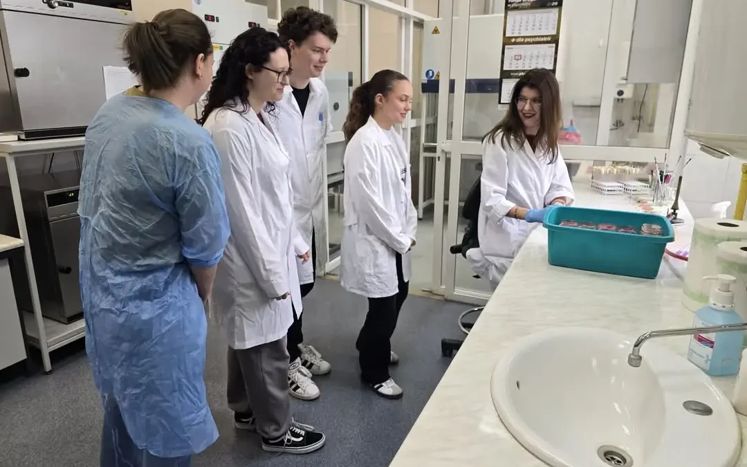 Praktykanci w laboratorium PSSE w Kaliszu – studenci zdobywają doświadczenie