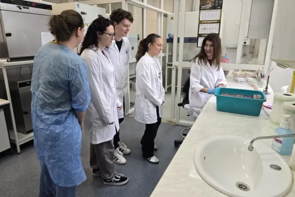 Praktykanci w laboratorium PSSE w Kaliszu – studenci zdobywają doświadczenie