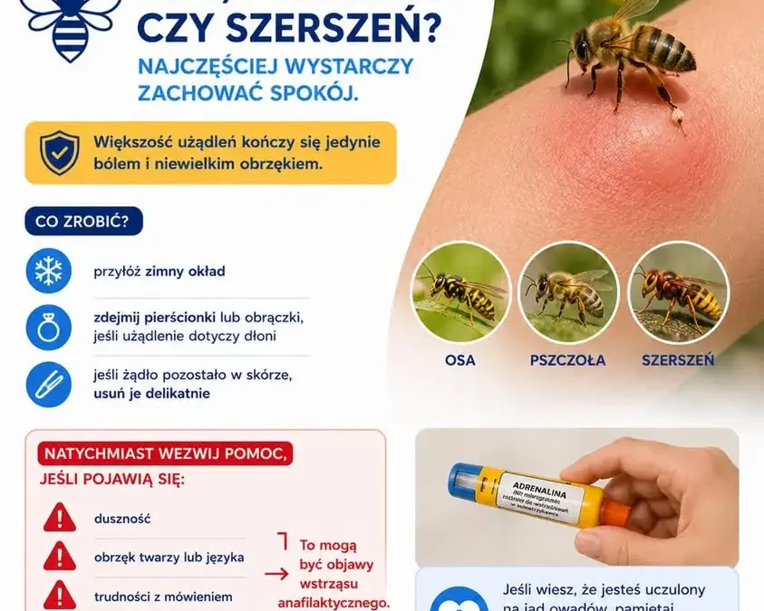 Bezpieczne wakacje: jak reagować na użądlenia os, pszczół i szerszeni?