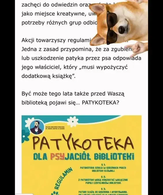 Patykoteka – nietypowa biblioteczna inicjatywa, która buduje relacje