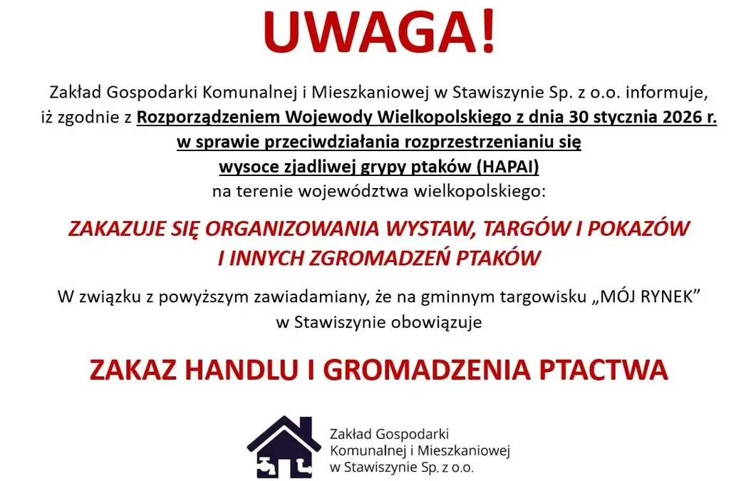 Jarmark na targowisku w Stawiszynie – zakaz handlu ptactwem