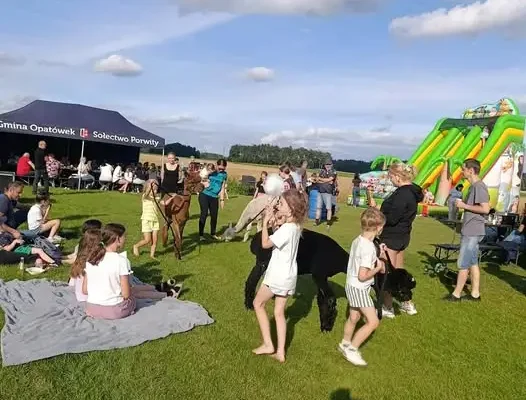 Piknik rodzinny w Porwitach: integracja bez metryki