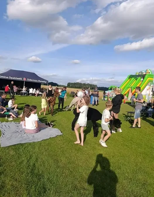 Piknik rodzinny w Porwitach: integracja bez metryki