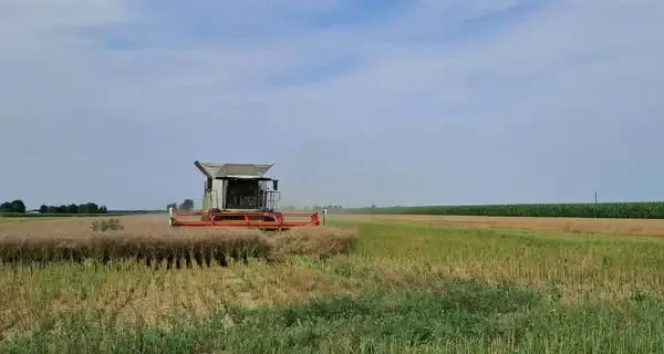 Żniwa w pełni – apel o ostrożność na drogach
