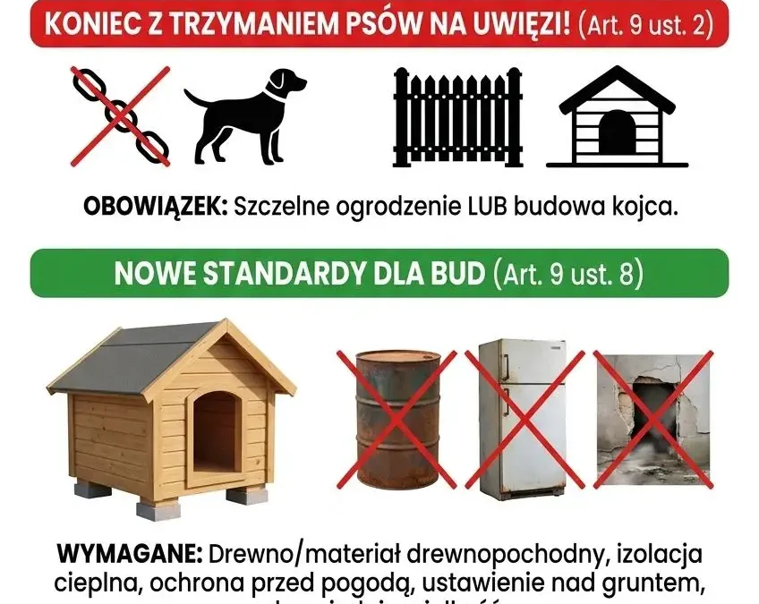 Zmiany w ustawie o ochronie zwierząt: zakaz trzymania psów na uwięzi i nowe wymogi dla bud