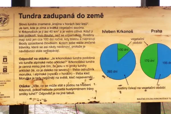 Złote Pióro: Łączniki i myślniki w nazwach miejscowości – poradnik językowy