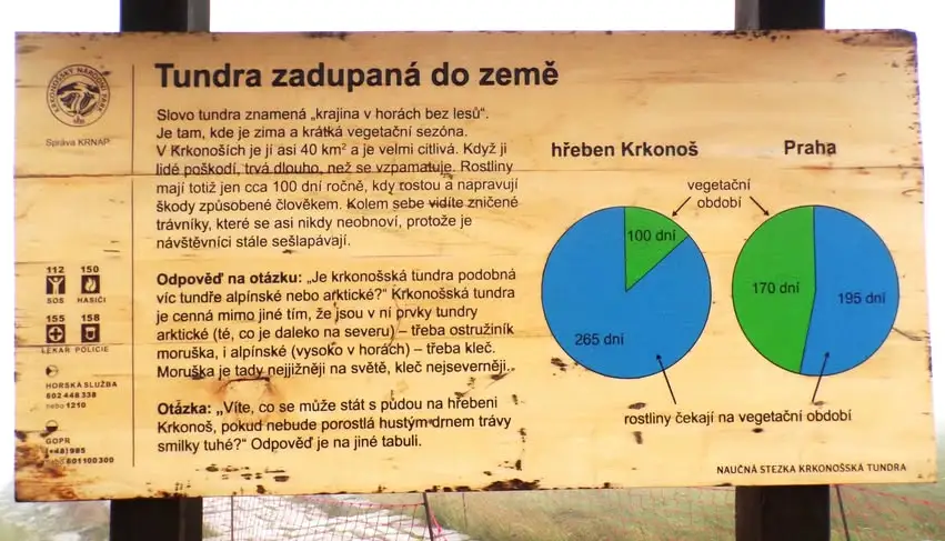 Złote Pióro: Łączniki i myślniki w nazwach miejscowości – poradnik językowy