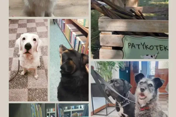 Międzynarodowy Dzień Psa: Biblioteka w Kaliszu zaprasza czworonogi