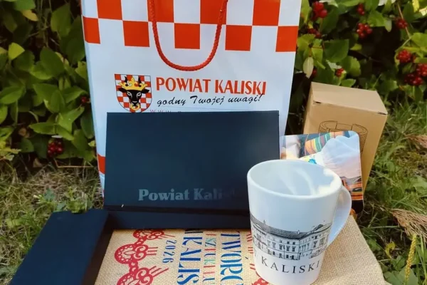 Licytacja zestawu od Powiatu Kaliskiego dla małej Zoi – do 27 sierpnia