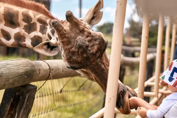 Integracyjny wyjazd dzieci z niepełnosprawnościami do zoo w Borysewie