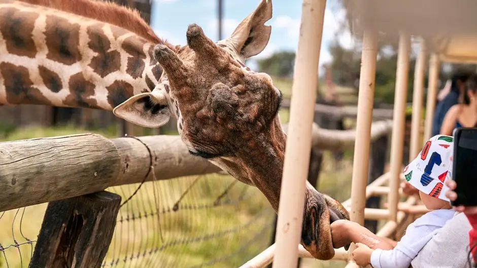 Integracyjny wyjazd dzieci z niepełnosprawnościami do zoo w Borysewie