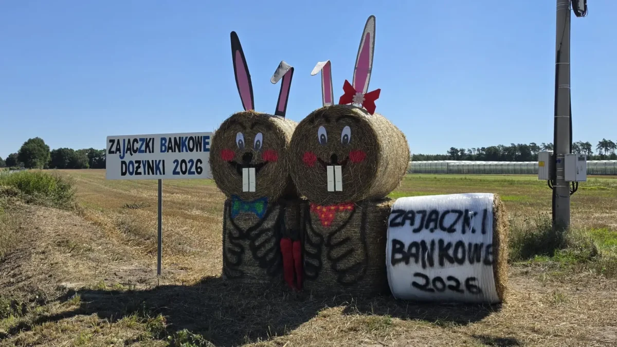 Witacze dożynkowe w gminie Godziesze Wielkie – kolorowe powitanie święta plonów