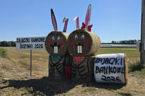 Witacze dożynkowe w gminie Godziesze Wielkie – kolorowe powitanie święta plonów