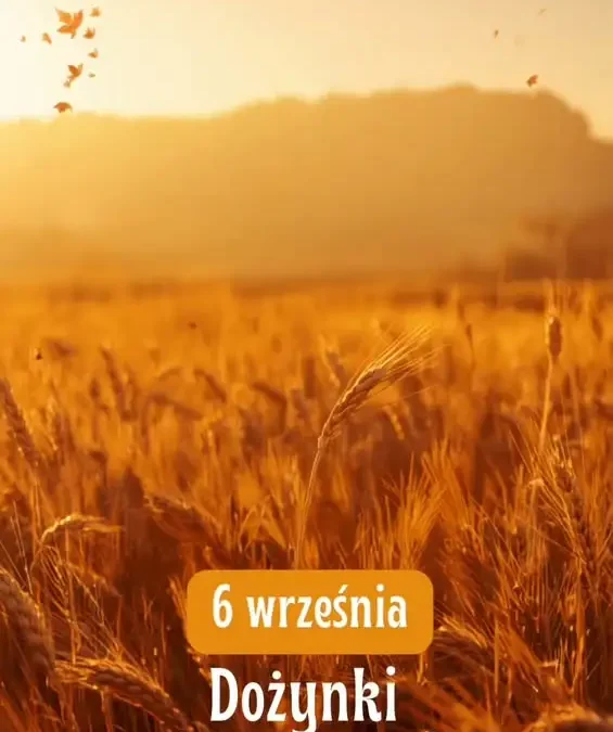 Powiatowo-Gminne Dożynki w Rychnowie już w niedzielę!