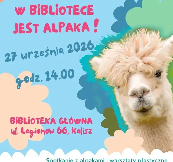 Kalisz: alpaki w bibliotece na pożegnanie lata