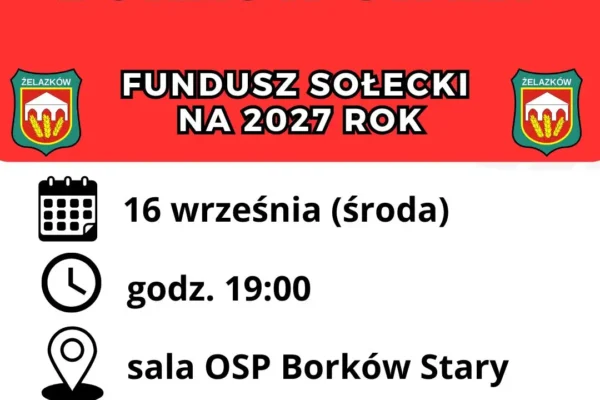 Zebranie wiejskie w Borkowie Starym: mieszkańcy zdecydują o funduszu sołeckim na 2027 rok