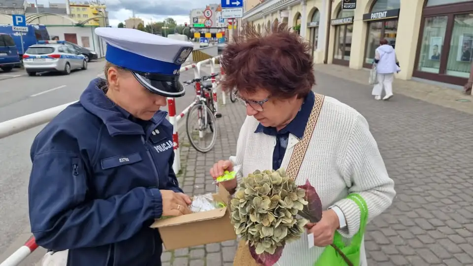 Kalisz: finał europejskiej akcji Roadpol Safety Days i policyjna lekcja o odblaskach