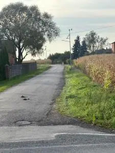 Stawiszyn pozyskał blisko 2 mln zł na przebudowę drogi w Piątku Małym Kolonii