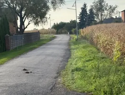 Stawiszyn pozyskał blisko 2 mln zł na przebudowę drogi w Piątku Małym Kolonii