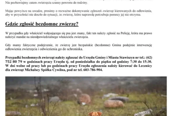 Gmina Stawiszyn apeluje do właścicieli psów: zabezpieczcie swoje posesje